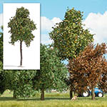 070-3793 - H0 - Platane 170 mm, Herbst